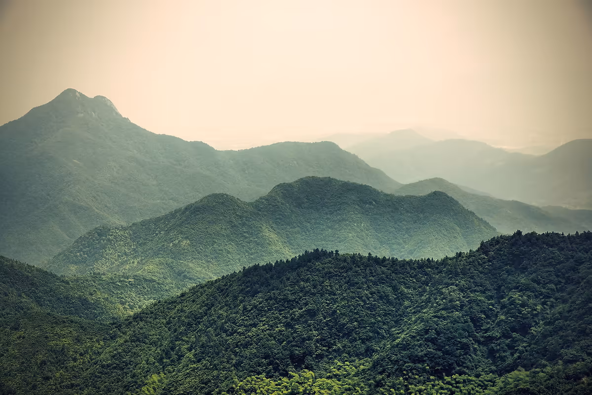 Green mountain slopes fading into soft morning mist
