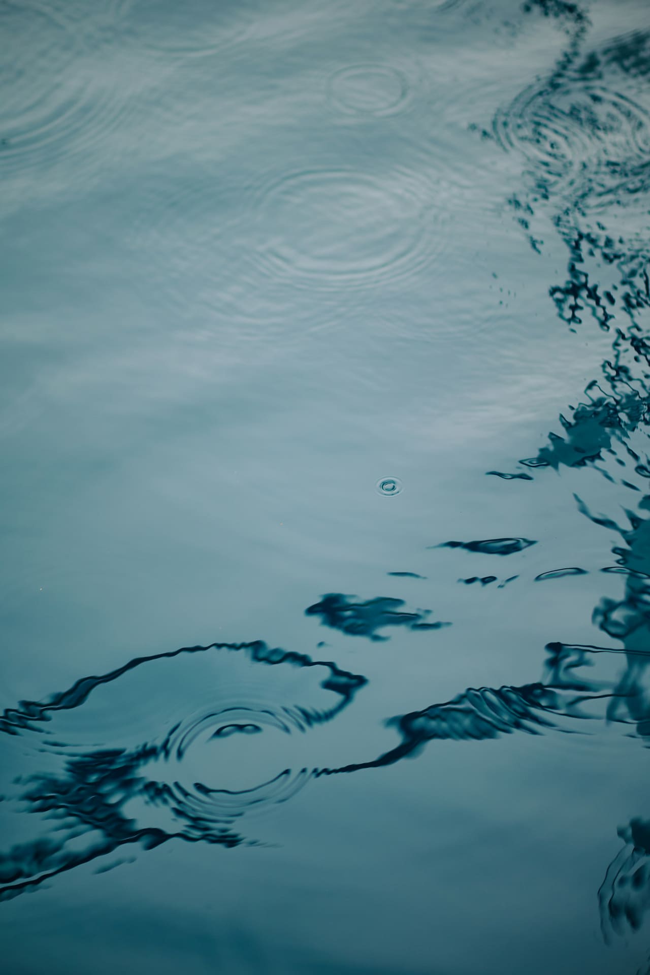 Gentle ripples on a calm water surface